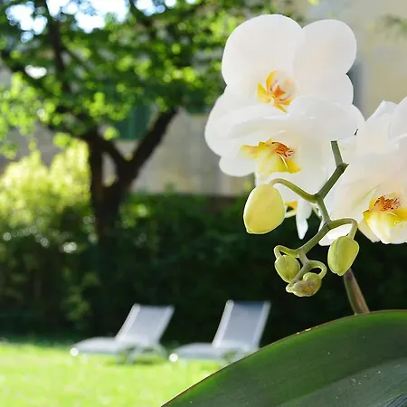 Palazzo Torriani-3